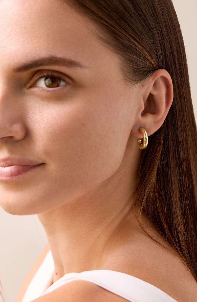 Bony Levy 14K Gold Small Thick Hoop Earrings, Alternate, color, 