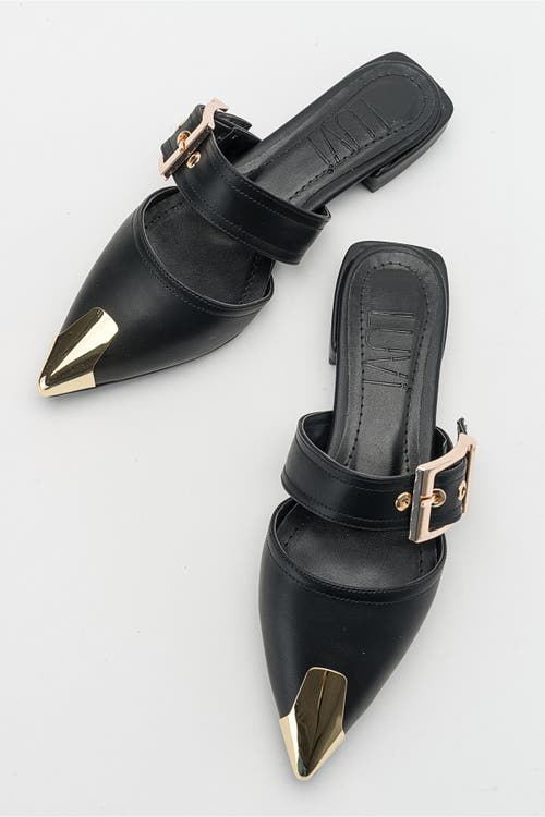 Prologue Shoes Jenni Buckled Slide In Black