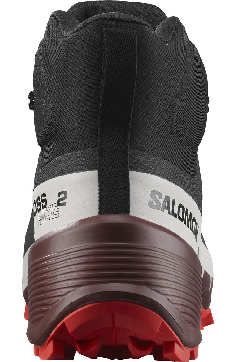 Salomon Cross Hike 2 Mid GTX Shoe, Alternate, color,
