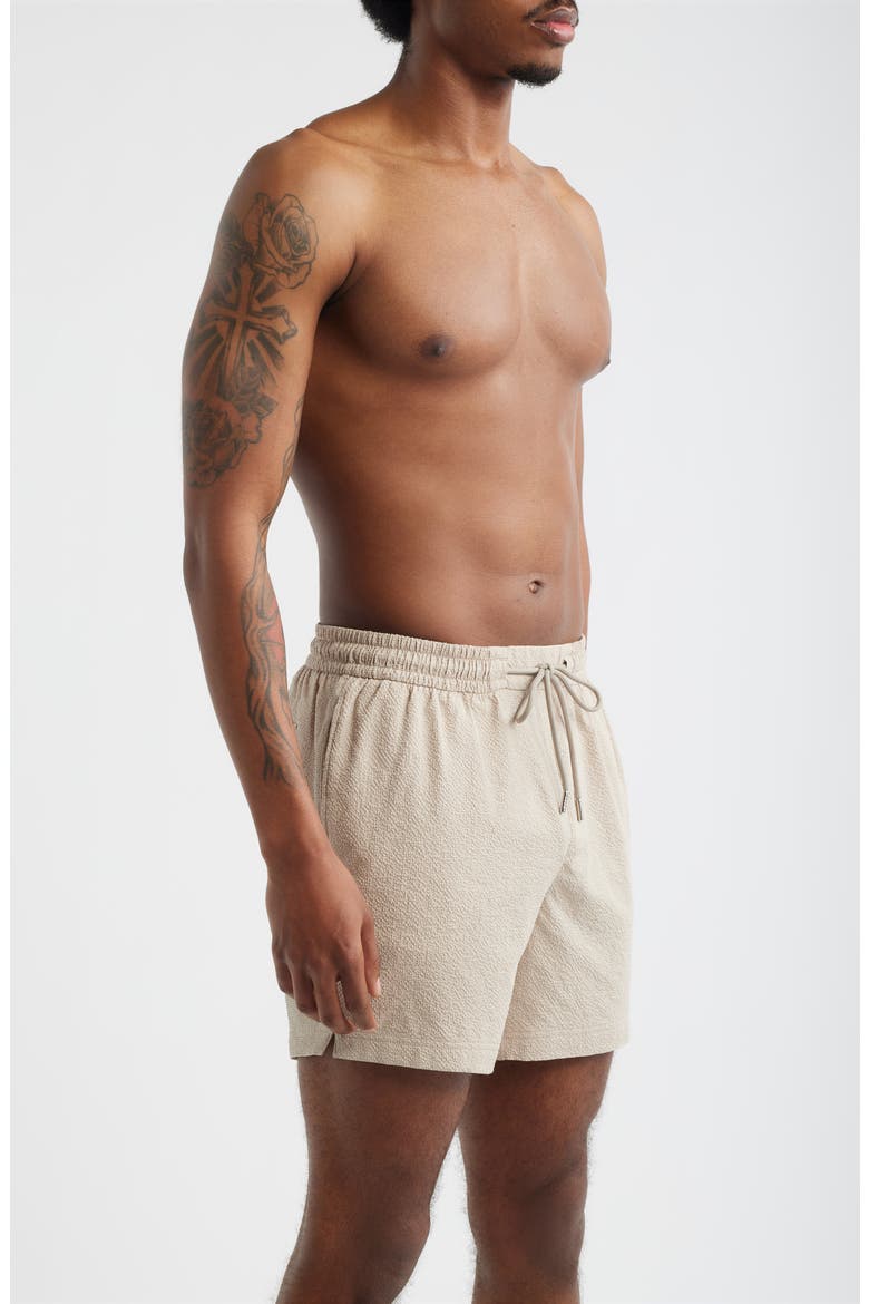 Relax Seersucker Swim Trunks, Alternate, color, LIGHT BEIGE