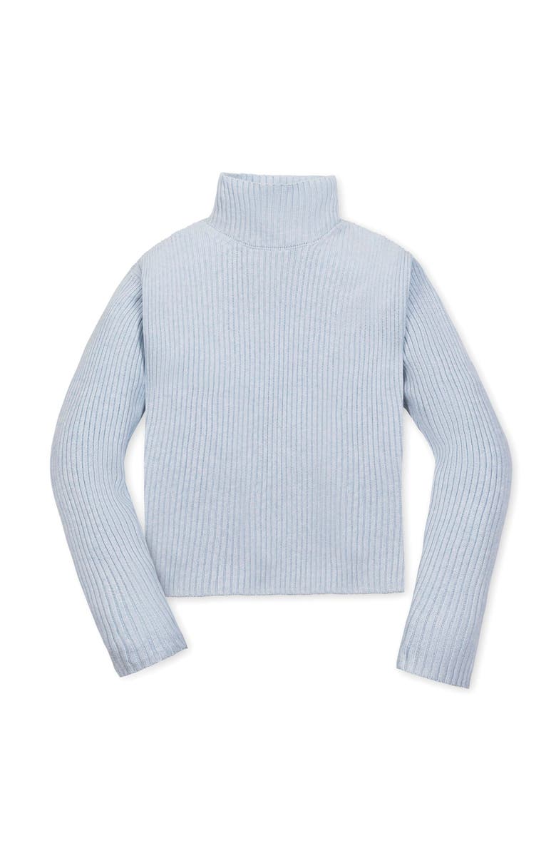 Hope & Henry Organic Funnel Neck Sweater, Alternate, color, Light Blue Heather