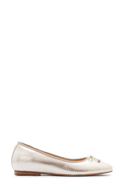 Frankie4 Trinity Flat In Silver Snake Embossed