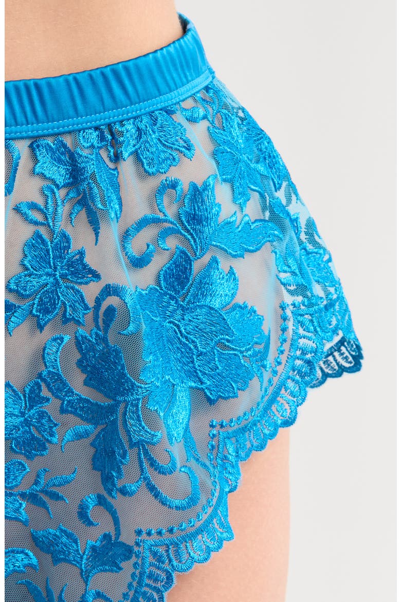 Embroidered Mesh Tap Boyshorts, Alternate, color, BLUE