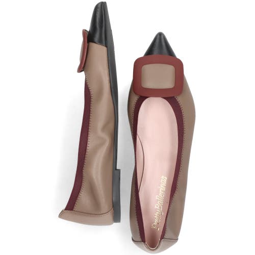 Pretty Ballerinas Pointed Toe Elasticated Ballet Flat In Brown