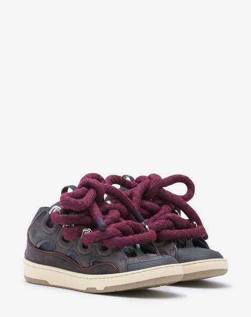 Lanvin Curb Sneakers In Leather With Snake Laces In Shark Grey