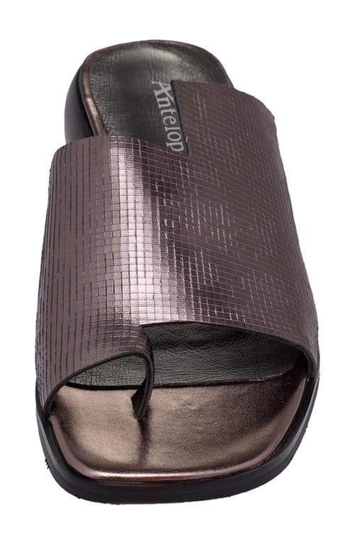 Antelope Luci Sandal In Pewter