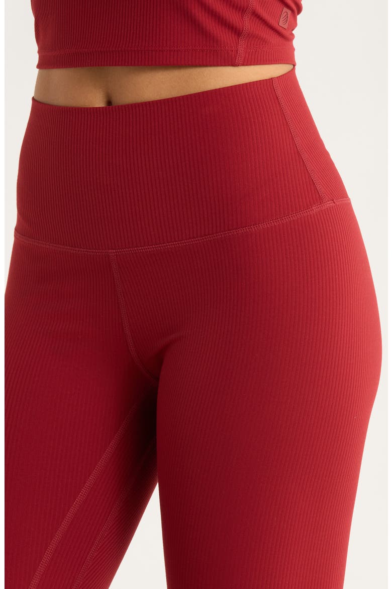 Ribbed Leggings, Alternate, color, MERLOT