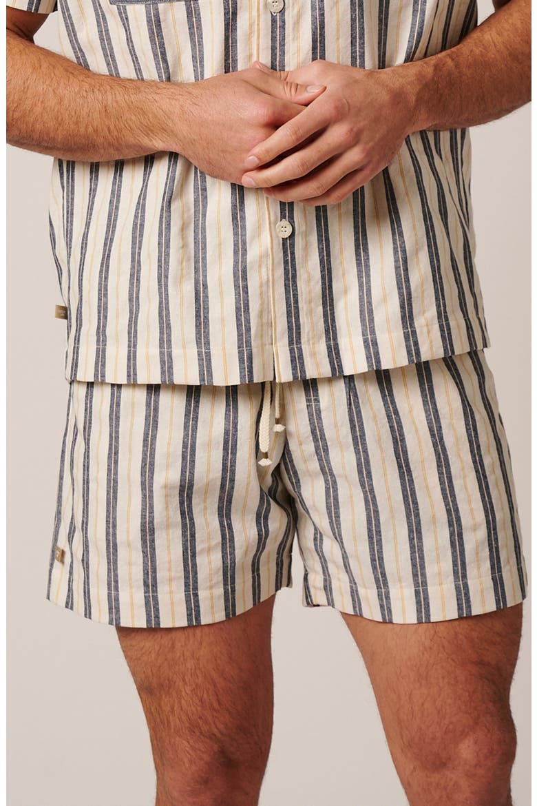 Catalina Shorts, Alternate, color, Blue Stripes