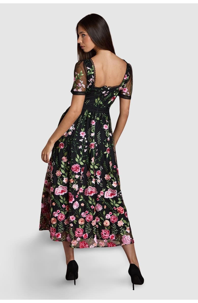 Coast Lace Trim Embroidered Mesh Midi Dress, Alternate, color, Black