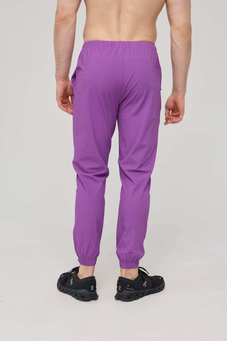 Elite Everyday Activewear Joggers - Purple, Alternate, color, Purple