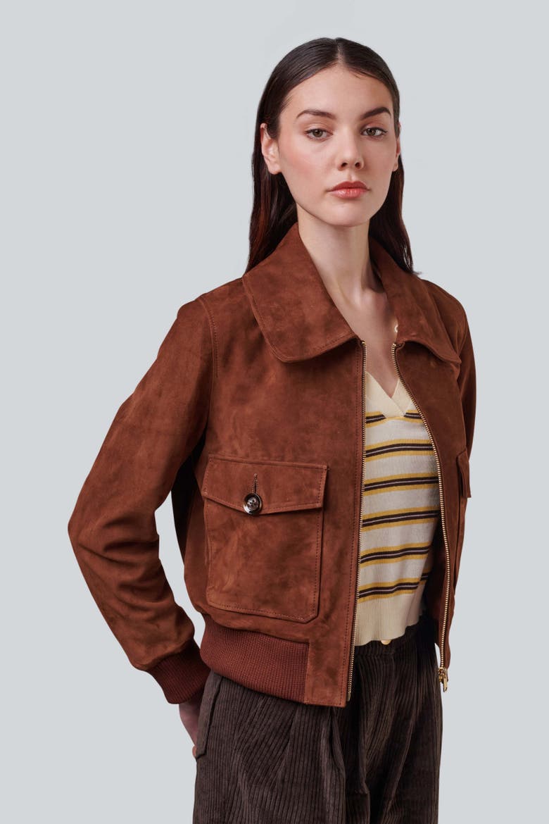 Evie Suede Jacket, Alternate, color, Chestnut