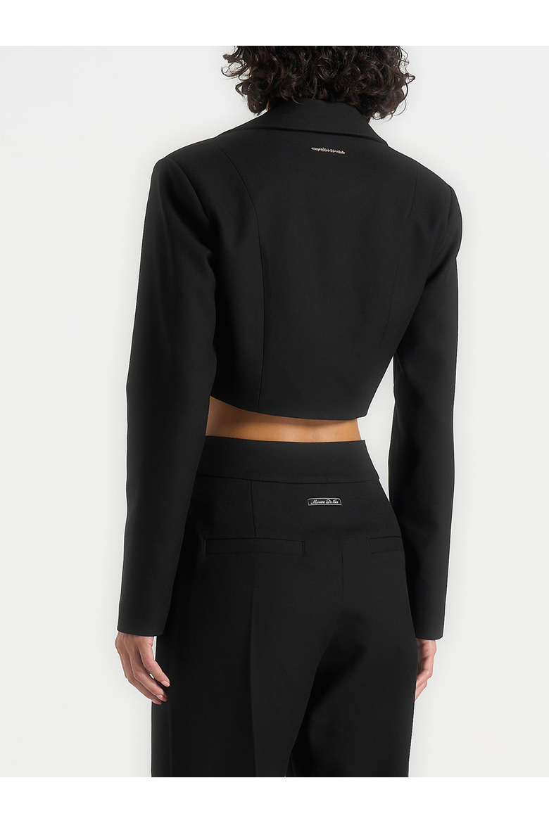 Dina Asymmetric Cropped Blazer, Alternate, color, Black