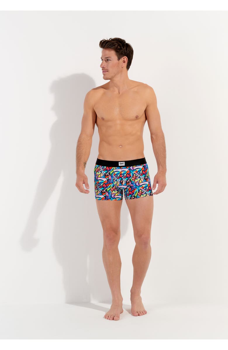 HOM Idylle Boxer Briefs, Alternate, color, Multico Print