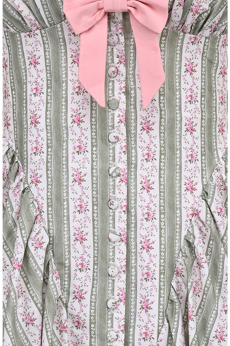 Emiliana Floral Print Minidress, Alternate, color, ROSE STRIPE FLORAL GREEN