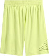 adidas Kids' Essential Big Logo Performance Shorts