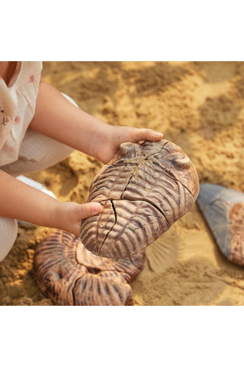 Magnetic Fossil 3D Puzzle - Trilobite - 6 Pieces, Alternate, color, Multicolor