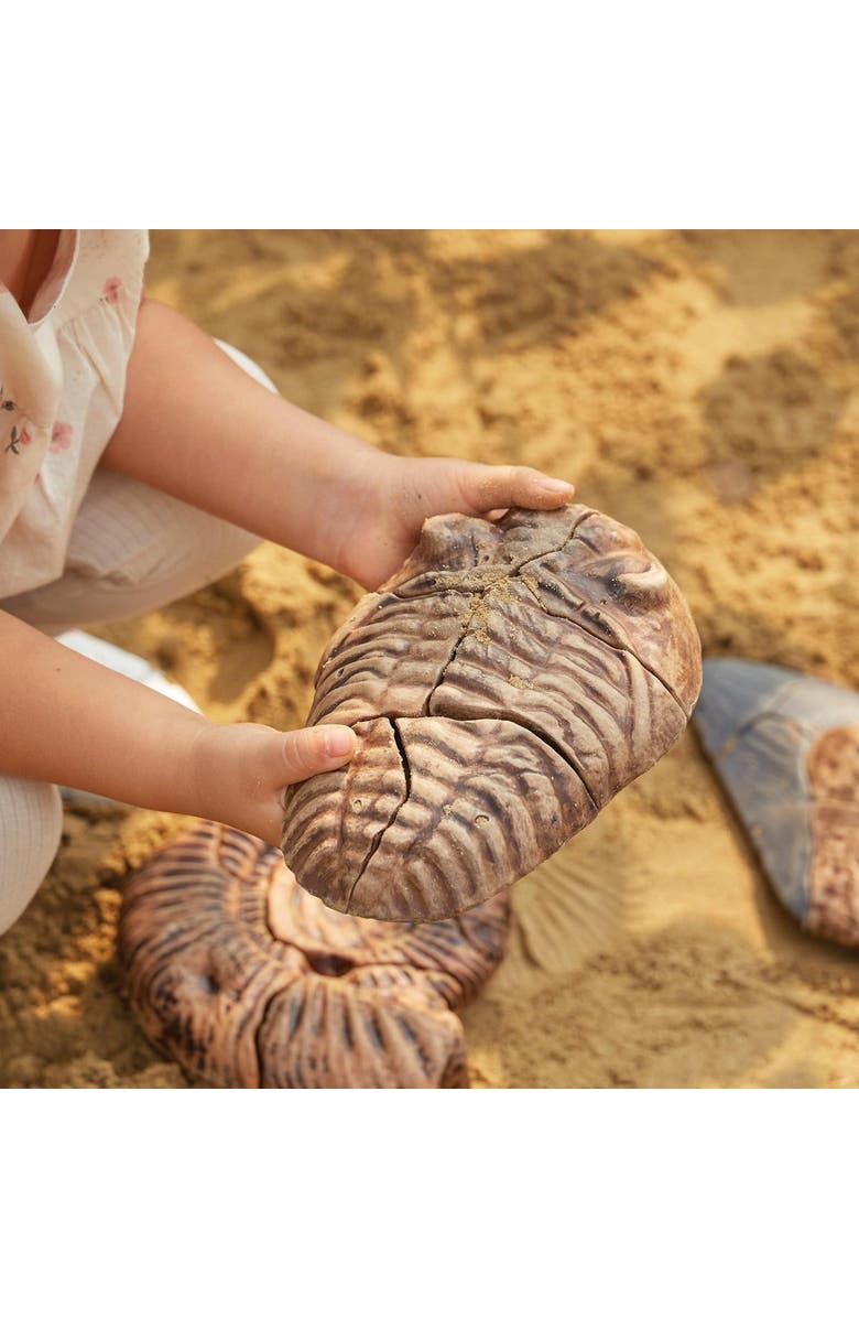 Kaplan Early Learning Company Magnetic Fossil 3D Puzzle - Trilobite - 6 Pieces, Alternate, color, Multicolor