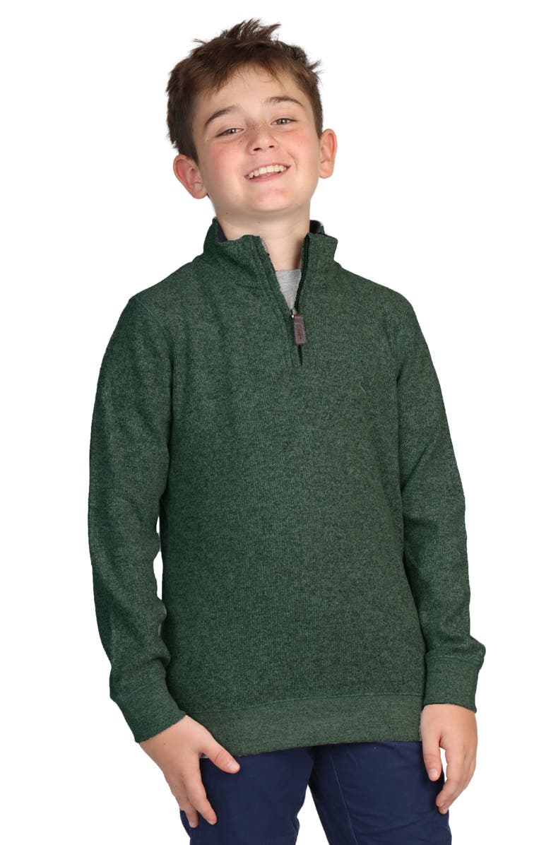 TailorByrd Kids' Cozy Quarter-Zip Pullover, Main, color, Green Heather