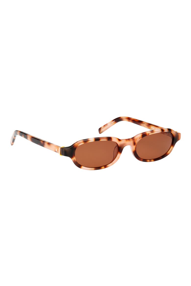 50mm Oval Sunglasses, Alternate, color, COLOURED HAVANA / BROWN