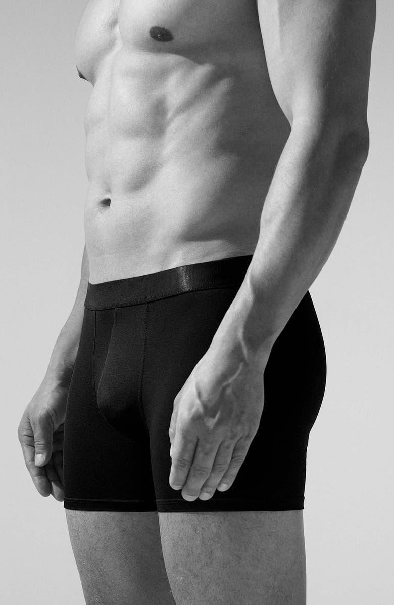 CDLP Lyocell Blend Boxer Briefs, Alternate, color,