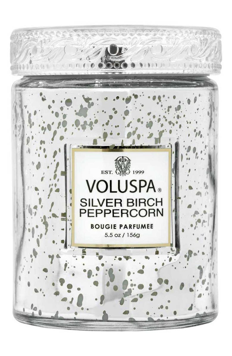 Voluspa Silver Birch & Peppercorn Small Jar Candle, Main, color, Silver Birch