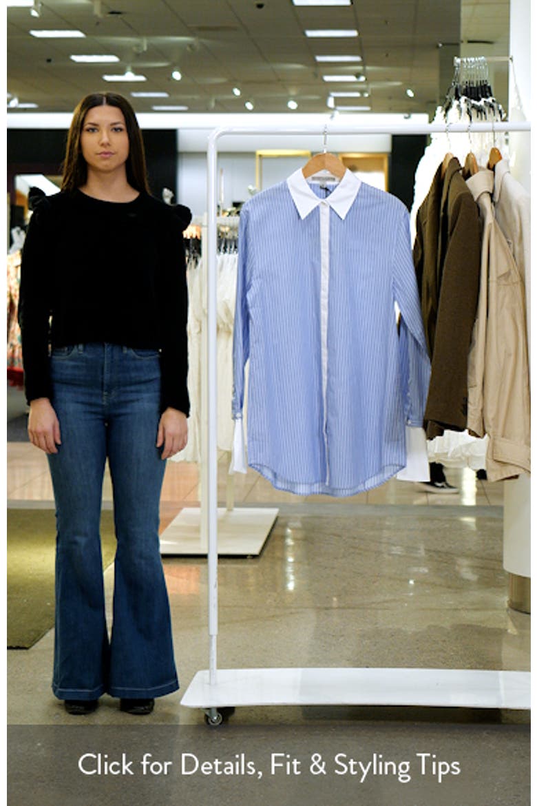 Alber Stripe Long Sleeve Shirtdress video