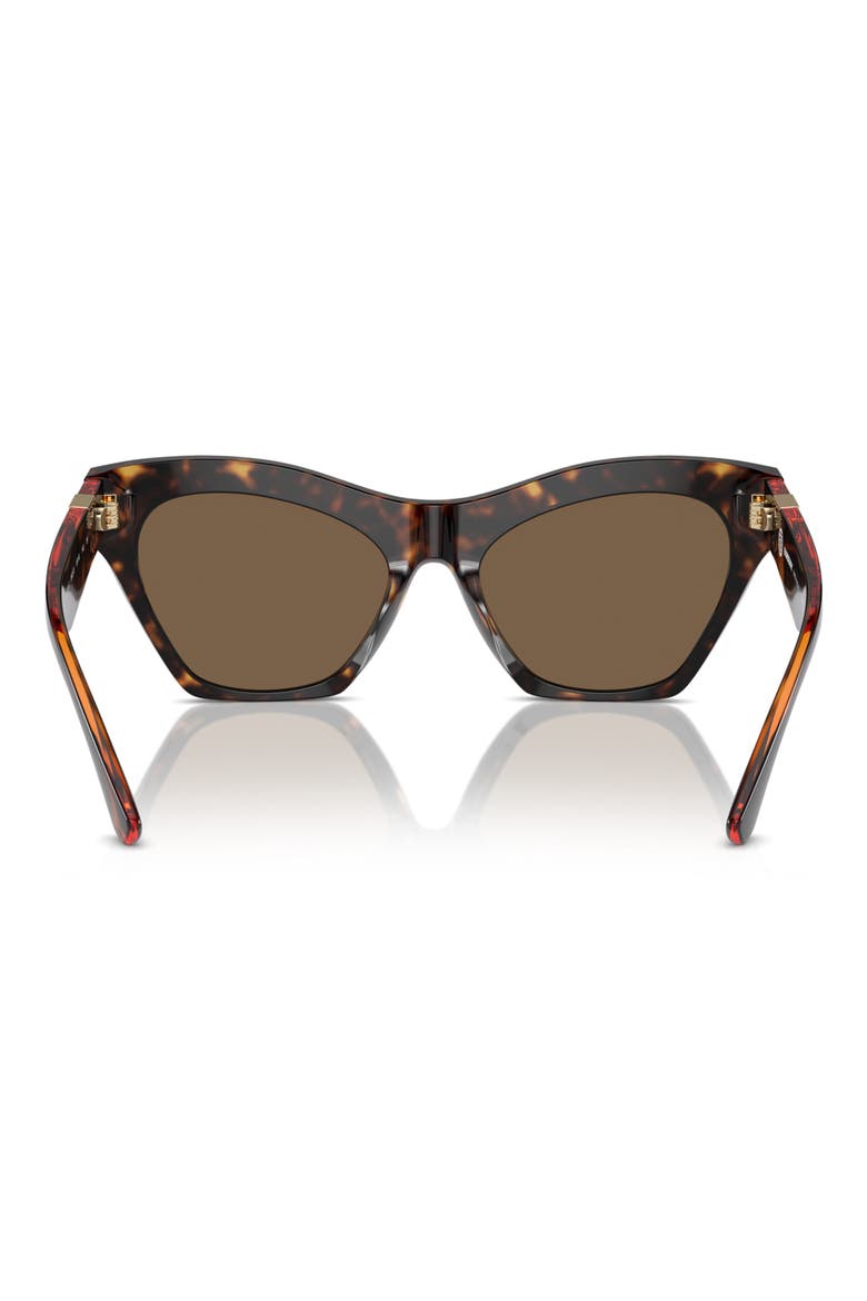 55mm Cat Eye Sunglasses, Alternate, color, DARK HAVANA