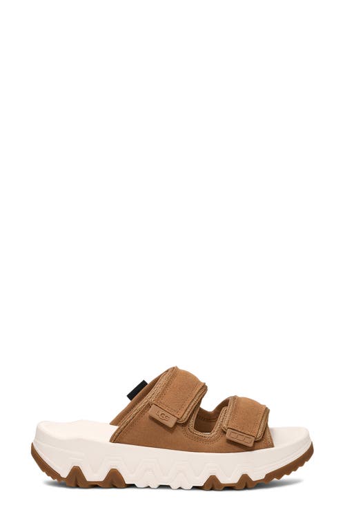 Ugg(r) Captrail Slide Sandal In Chestnut