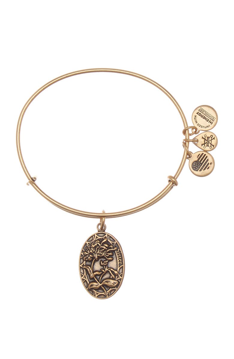 Alex and Ani 'I Love You Sister' Expandable Wire Bangle, Main, color,