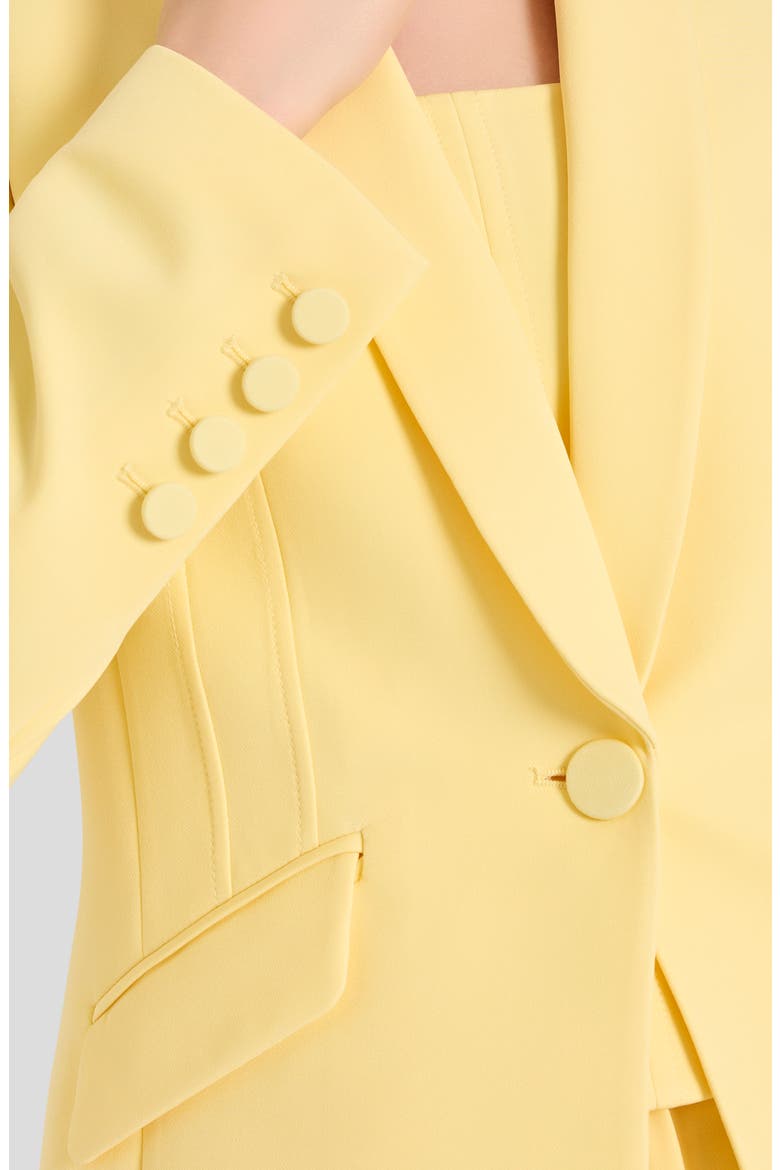 Shawl Collar Jacket, Alternate, color, BUTTERCUP