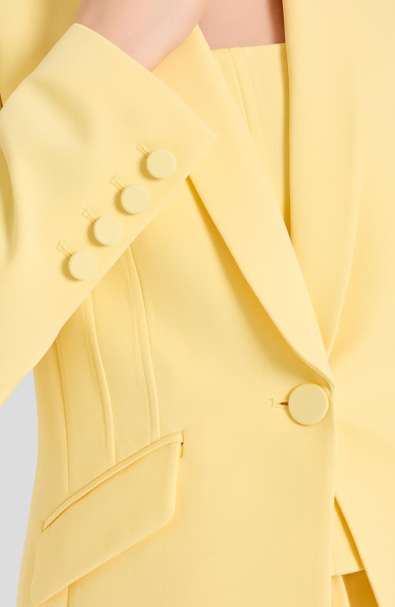 Tahari ASL Shawl Collar Jacket, Alternate, color, Buttercup