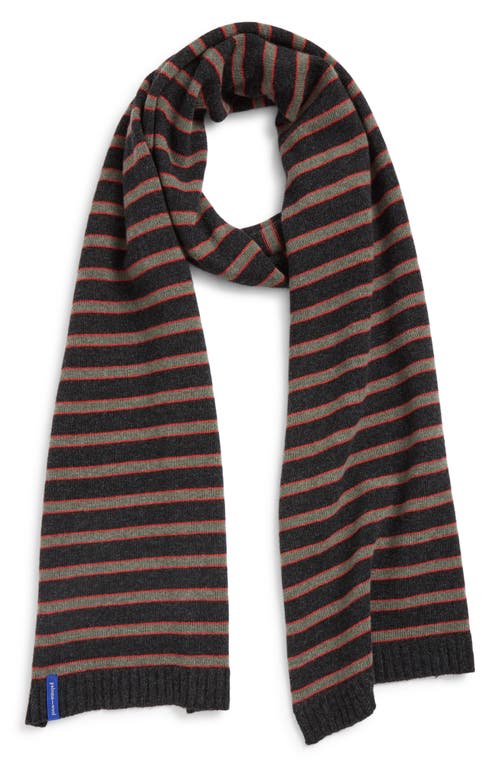 Paloma Wool Bela Stripe Extrafine Wool Scarf In Brown