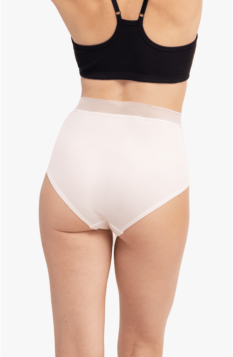 Uwila Warrior High Waisted Soft Silk Briefs, Alternate, color, Winter White