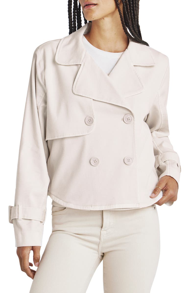 Splendid Portia Double Breasted Jacket, Main, color, 