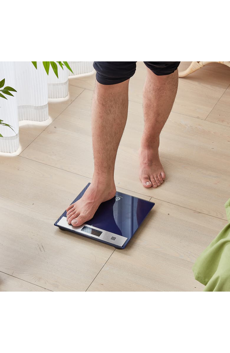 PURSONIC Talking Bathroom Scale, Alternate, color, Blue