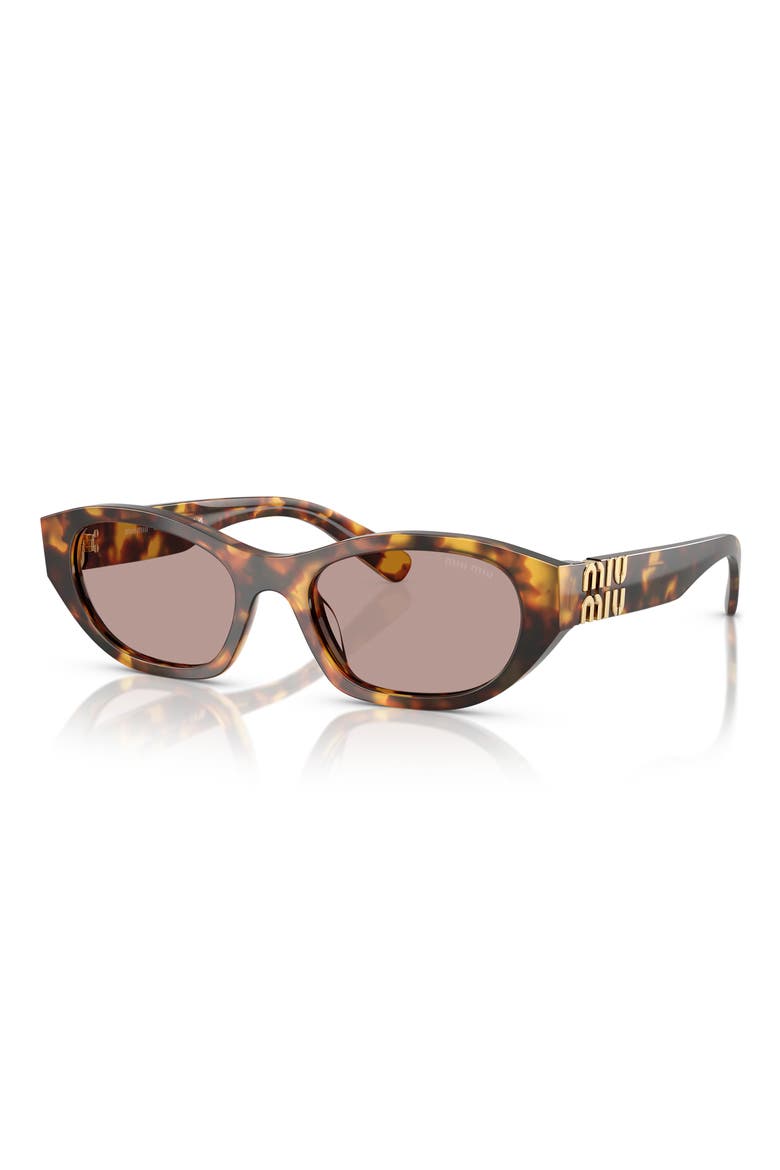 53mm Oval Sunglasses, Alternate, color, HONEY HAVANA / PURPLE BROWN
