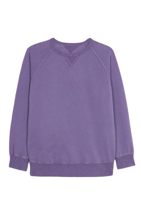 Harvard Fleece Jersey Raglan Sleeve Sweatshirt