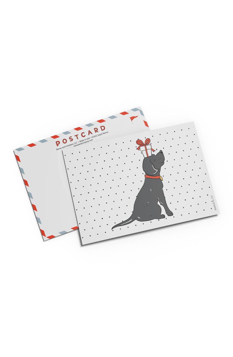 Ramus & Co Gift/Birthday Postcard 20-Pack "Black Lab Present", Main, color, Multi-Pack