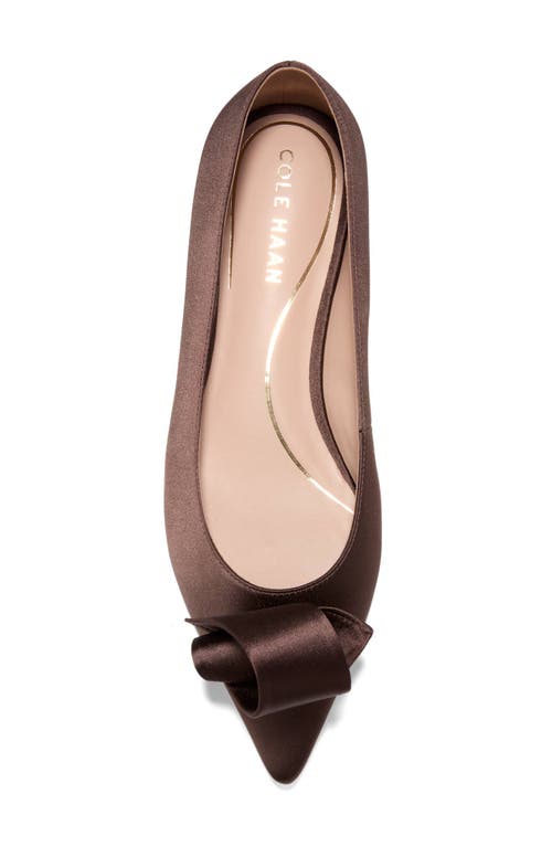 Cole Haan Florette Pointed Toe Skimmer Flat In Brown