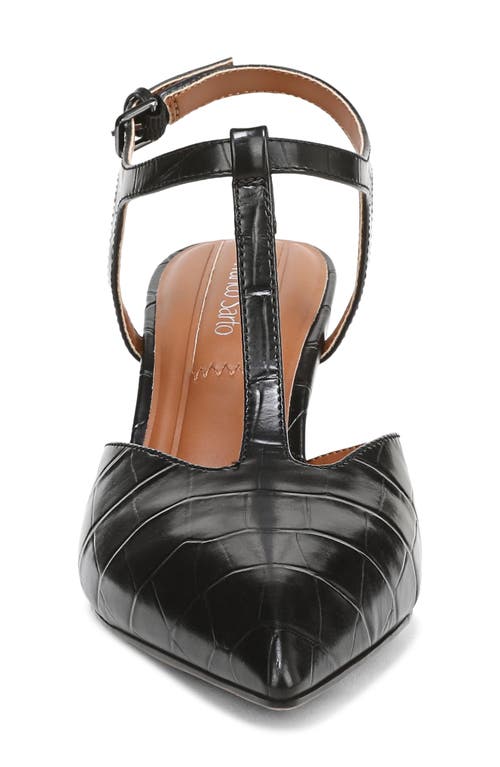 Franco Sarto Ovett Pointed Toe T-strap Pump In Black
