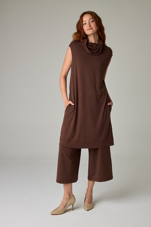 Eavolu Kakadu Eco-luxe Rib Sleeveless Funnel Neck Tunic/dress In Brown