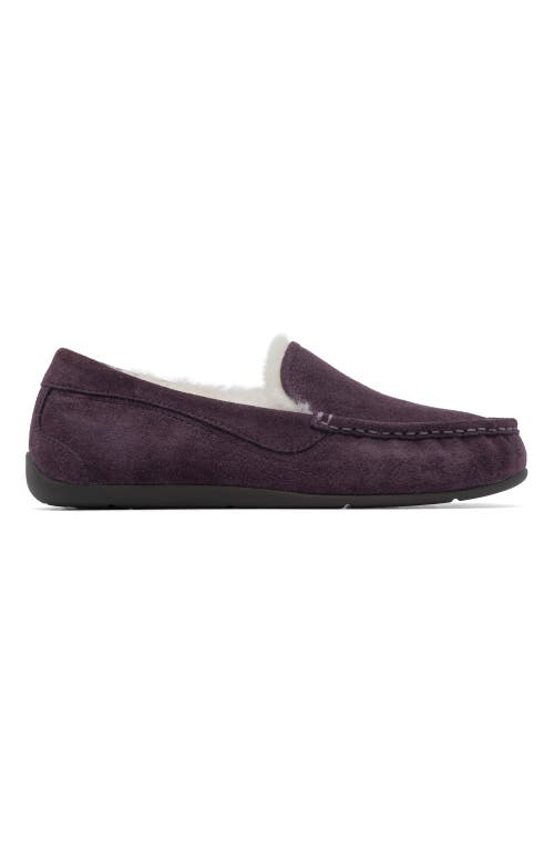 Abeo Amble Slipper In Dark Purple - Regular