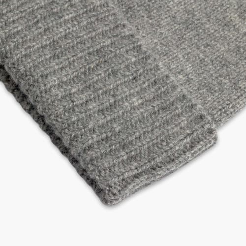 Turtle Fur Thatcher Beanie In Gray
