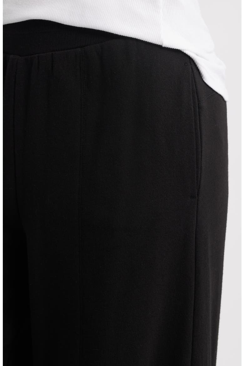 Skyrise Pintuck Pleat Wide Leg Pants, Alternate, color, BLACK