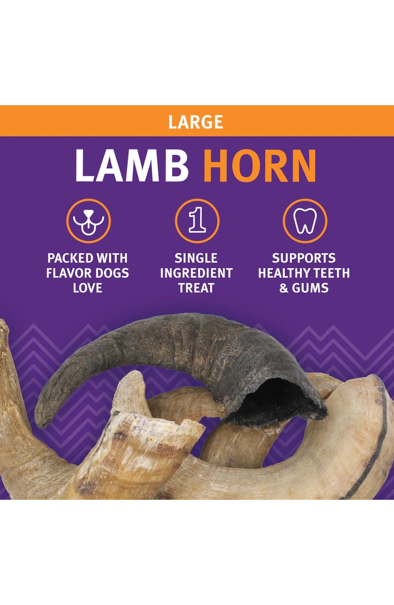ICELANDIC+ Large Lamb Horn Dog Chew, Alternate, color, Multicolored
