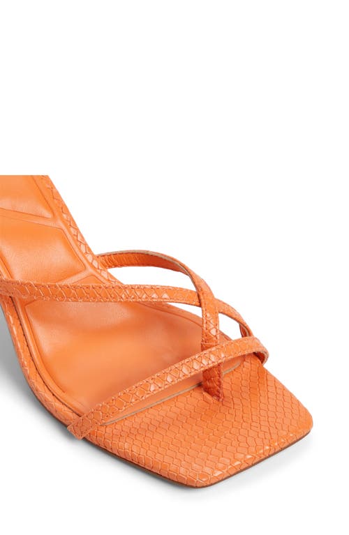 Aldo Calypsa Slide Sandal