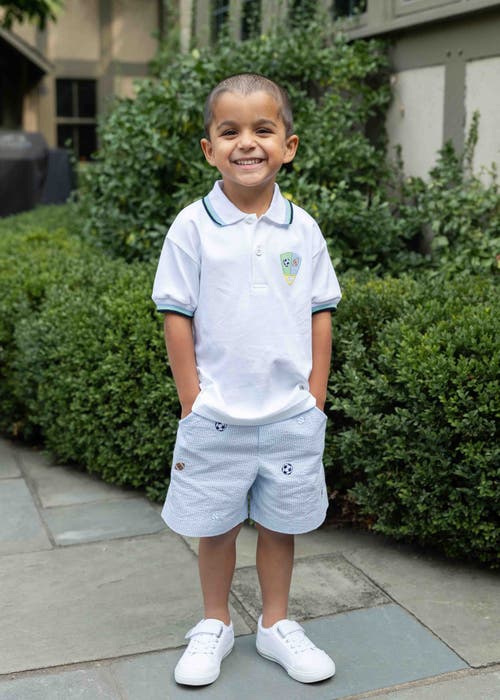 FLORENCE EISEMAN FLORENCE EISEMAN KNIT POLO WITH SPORT BALLS