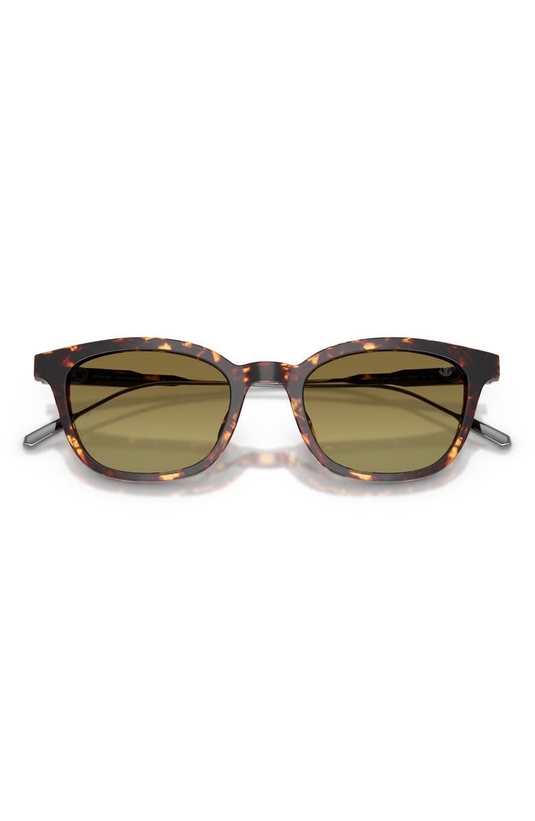 Moncler Lentis 50mm Gradient Phantos Sunglasses, Alternate, color, Tortoise Dark Brown / Green