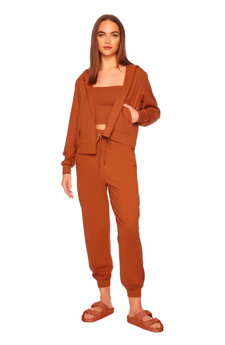 Susana Monaco Drawstring Ankle Joggers, Alternate, color, Umber