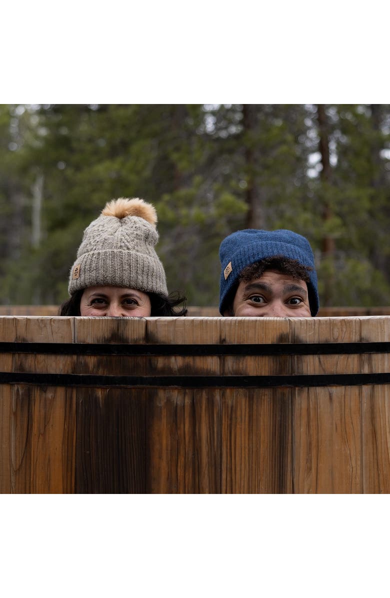 Turtle Fur Lindsey Pom Beanie, Alternate, color, Smoke